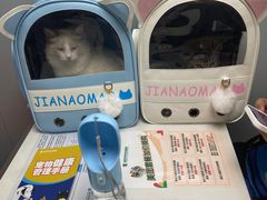-伟伟宠物医院·CT影像中心·瑞派犬猫综合性门诊(汉口总院)