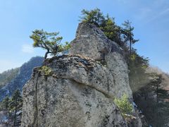 -洛阳白云山景区