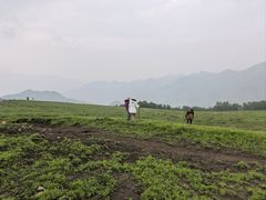 -灵山