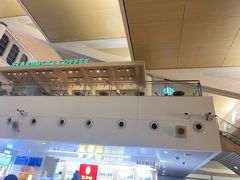 -厦门高崎国际机场-T3航站楼