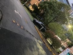 -理想汽车(世纪汇店)