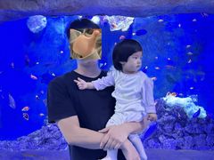 -威海华夏城景区