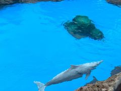-珠海长隆海洋王国