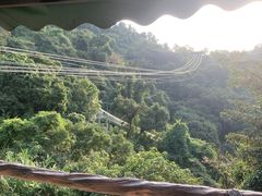 -南丹山森林王国