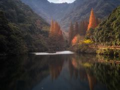 -宁海森林温泉