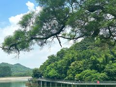 -广州市白云山风景名胜区