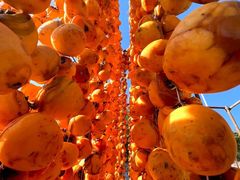 -于家石头村景区