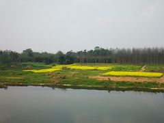 -稻香村鱼庄