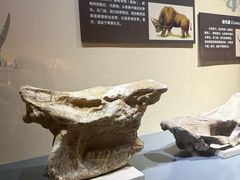 -大庆市博物馆