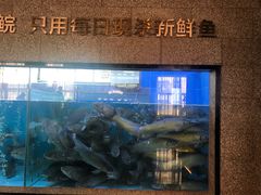-淘米捞·米汤脆鲩鱼火锅(福田皇岗店)