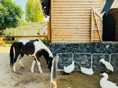 -HERRE·FARM 赫尔露营农场·团建聚会包场