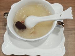 -梵猫·新养生(湛江鼎盛店)