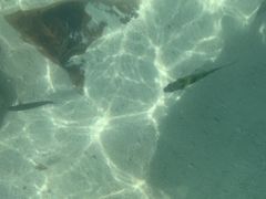 -班拉雅潜水度假村