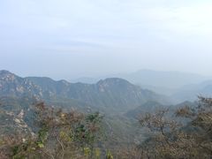 -大岭沟猕猴桃谷风景区
