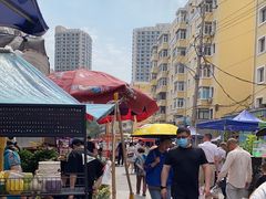 -哈尔滨道外花鸟鱼市场