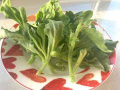 -果蔬好生活超市(乐堤港店)