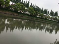 -嘉定紫藤园