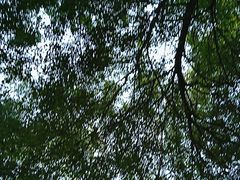 -团结湖公园