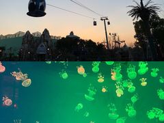 -上海海昌海洋公园