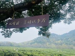 -中国茶叶博物馆(双峰馆区)