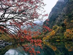 -叠溪松坪沟景区