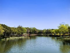 -自然谷恐龙园