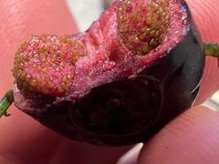 -盒马鲜生(亲橙里店)