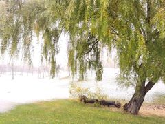 -万柳高尔夫俱乐部