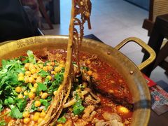 -张翻越·川渝冒菜·武汉黑鸭煲(城北万象城店)