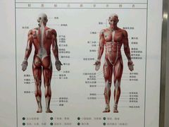 -通透堂中医·精准推拿(旗舰店)