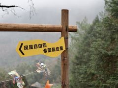 -石台牯牛降景区