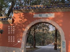 -灵谷景区