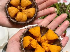 -常鲜楼常来尝鲜海胆馆(星海店)