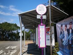 -大埔公路-马料水段香港中文大学(公交站)