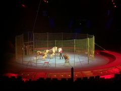 -珠海横琴长隆《卡卡虎奇遇记》