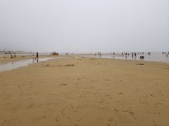 -日照海滨国家森林公园