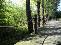 -溱湖国家湿地公园