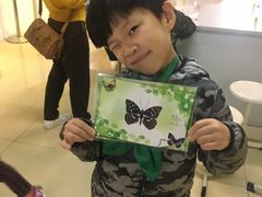 -上海昆虫博物馆