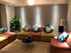 -MC皮肤管理中心