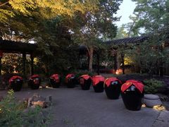 -巡塘古镇