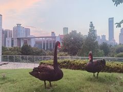 -行者书屋大堂吧 ·下午茶(南京圣和府邸酒店)