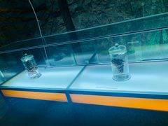 -青岛葡萄酒博物馆