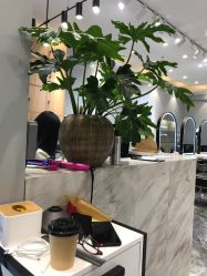 -杉影印象日式烫染專門店