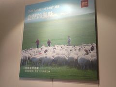 -巴奴毛肚火锅(相州店)