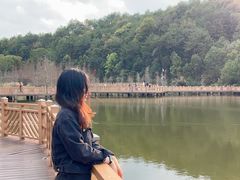 -神光山国家森林公园