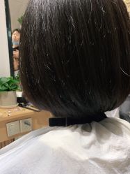 -京世沙龙
