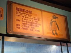 -海合安武汉极地海洋公园