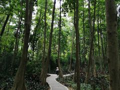 -云溪植物园