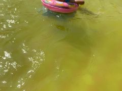 -南宫温泉水世界