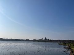 -上海海湾国家森林公园